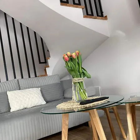 Plutowka فيلة زافوية